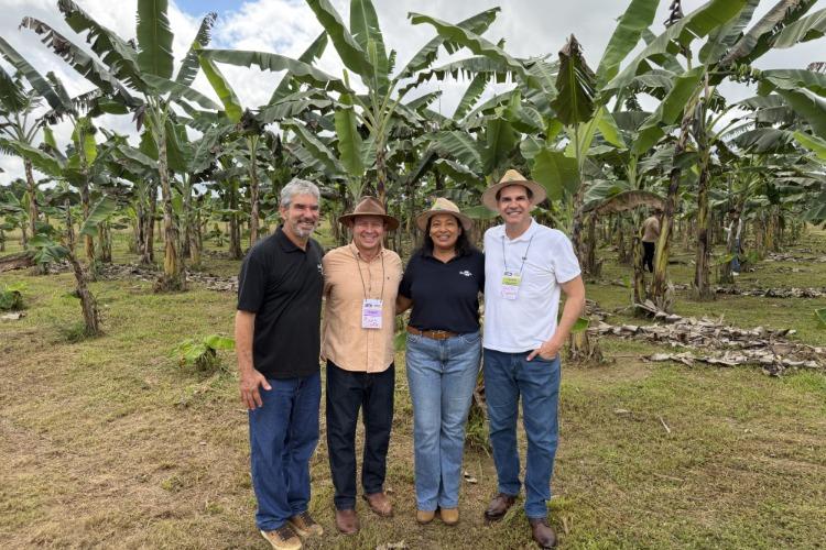 Emenda de Luiz Carlos impulsiona pesquisa que fortalece cultivo da banana no Amapá 