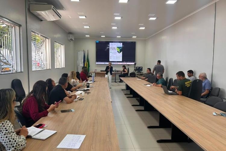 Governo do Amapá avança na construção de programa para reduzir emissões por desmatamento e na proteção das florestas