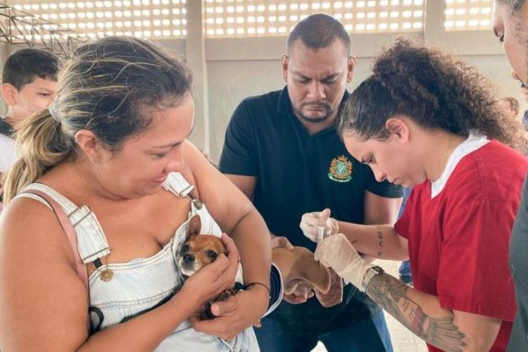 Governo do Amapá promove cuidados, saúde e bem-estar animal em residenciais de Macapá