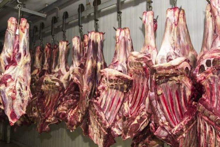 Conab projeta produção brasileira de carnes acima de 34 milhões de toneladas  em 2026 e 2027