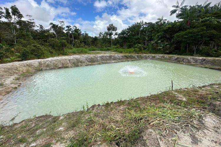 Programa de apoio à piscicultura beneficia famílias rurais no Amapá