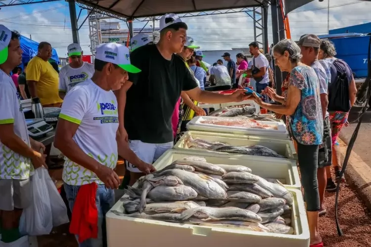 Peixe mais barato: veja onde comprar com até 30% de desconto em Macapá e Santana