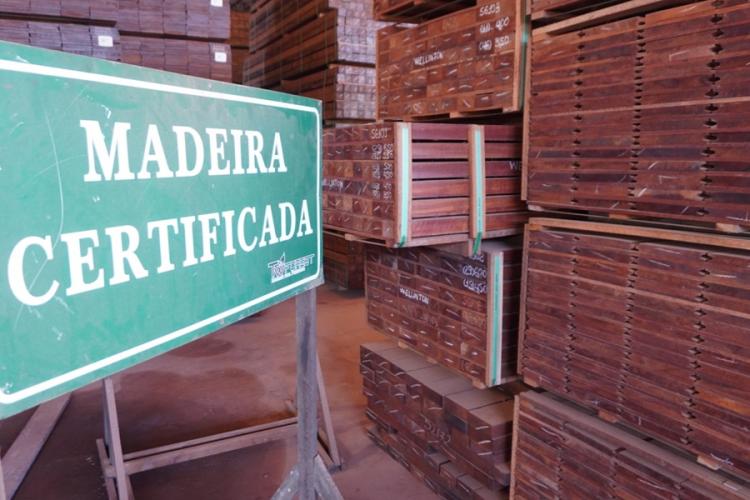 Amapá inicia exportação histórica de madeira sustentável para a Guiana Francesa