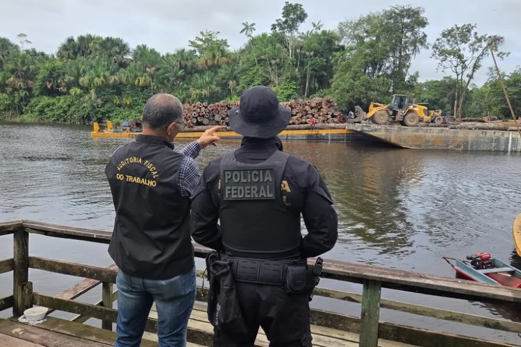 PF e AFT realizam fiscalização em área de manejo florestal em Mazagão/AP